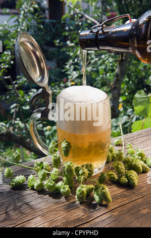 Ein Liter Bier wird in einem Bier-Becher oder Stein, Hallertau, Bayern, Deutschland, Europa gegossen. Stockfoto