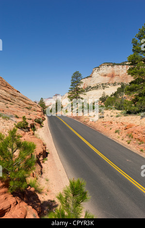 Straße, Checkerboard Mesa, Zion Nationalpark, Utah, USA Stockfoto