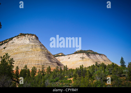 Checkerboard Mesa, Zion Nationalpark, Utah, USA Stockfoto