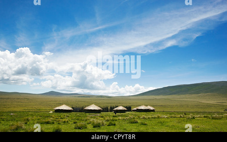 Hütten, Dorf der Maasai, Boma, Ngorongoro Conservation Area, Tansania, Afrika Stockfoto