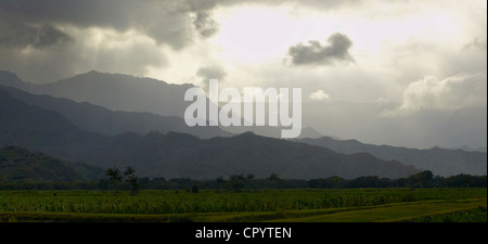 Hanalei Tal, Hanalei, Kauai, Hawaii, USA Stockfoto