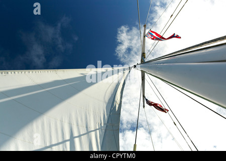 Segel, Segelboot, Maui, Hawaii, USA Stockfoto