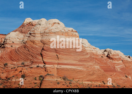 Sandsteinformationen, Coyote Buttes North, Vermilion Cliffs Wilderness, Seite, Arizona, USA, Nordamerika Stockfoto