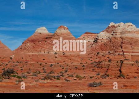 Sandsteinformationen, Coyote Buttes North, Vermilion Cliffs Wilderness, Seite, Arizona, USA, Nordamerika Stockfoto