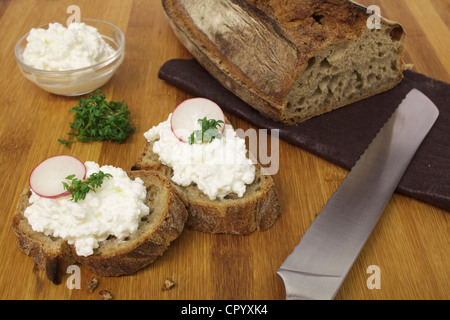 Knuspriges Brot mit Frischkäse, Radieschen und Gartenkresse Stockfoto