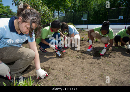 Achtklässler Pflanzen Gemüse und Blumen in einem Garten für die Schule in Newark NJ Stockfoto