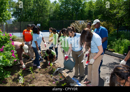 Achtklässler Pflanzen Gemüse und Blumen in einem Garten für die Schule in Newark NJ Stockfoto