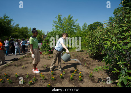 Achtklässler Pflanzen Gemüse und Blumen in einem Garten für die Schule in Newark NJ Stockfoto