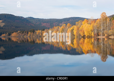 Herbst am See Schluchsee im Schwarzwald, Baden-Württemberg, Deutschland, Europa Stockfoto