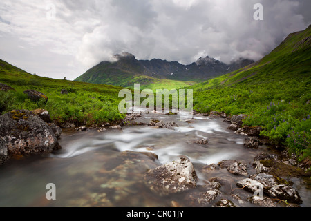 Gebirgsbach in den Talkeetna Bergen, Alaska, USA, Nordamerika Stockfoto