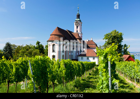 Birnau-Klosterkirche im Sommer am Bodensee, Baden-Württemberg, Deutschland, Europa, PublicGround Stockfoto