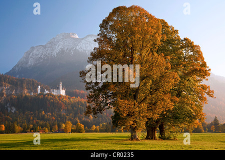 Herbststimmung im Schloss Neuschwanstein Castle im Abendlicht, Füssen, Allgäu, Bayern, Deutschland, Europa Stockfoto