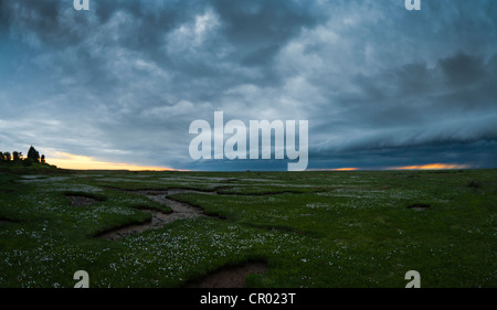 Stürmischen Wolken um den Rand des Sumpfes bei Toynbee an der North Norfolk-Küste. Stockfoto