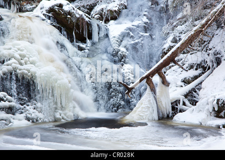 Wasserfall mit Eiszapfen in Falkau, Schwarzwald, Baden-Württemberg, Deutschland, Europa Stockfoto