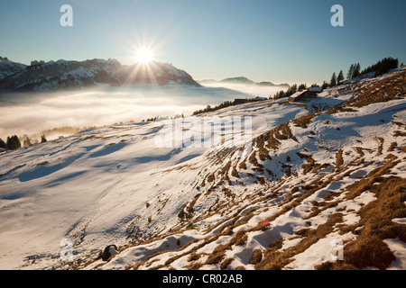 Alpstein-Massivs mit Mt Säntis und eine Alm in Schnee bedeckt, Appenzeller Alpen, Schweizer Alpen, Schweiz, Europa Stockfoto