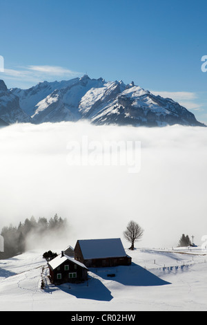 Alpstein-Massivs mit Mt Säntis und Alm in Schnee bedeckt, Appenzeller Alpen, Schweizer Alpen, Schweiz, Europa Stockfoto