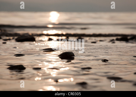 Seeufer gegen das Licht, Bodensee, Baden-Württemberg, Deutschland, Europa Stockfoto