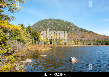 Herbstlaub, Indian Summer am einsamen See, mit Blick auf Cannon Mountain, Franconia Notch State Park Stockfoto