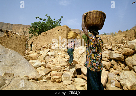 Mali, Dogonland, Bandiagara Cliff aufgeführt als Weltkulturerbe der UNESCO, Rückseite der Frauen in Kameli Dorf gekommen Stockfoto