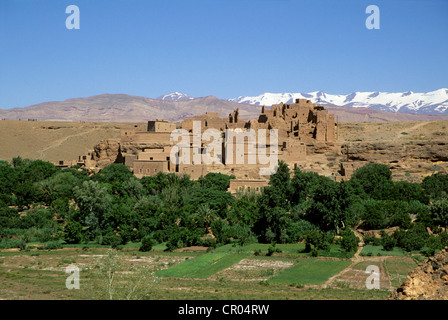 Marokko, hoher Atlas, Dades Tal, El Kelaa Ausflüge Kasbah Stockfoto