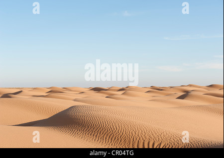 Sanddünen, gelbe Sand mit Rippelmarken in der Wüste Sahara, Süd-Tunesien, Tunesien, Maghreb, Nordafrika, Afrika Stockfoto