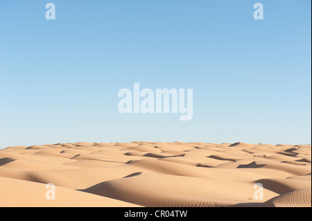 Einsamkeit, blauer Himmel, Sand Dünen, Sahara Wüste zwischen Douz und Ksar Ghilane, Süd-Tunesien, Tunesien, Maghreb, Nordafrika Stockfoto