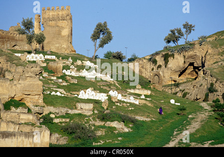 Mittleren Atlas, Fez, Marokko, Kaiserstadt, Meriniden-bemächtigt Gräber Stockfoto