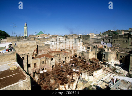 Mittleren Atlas, Fez, Marokko, Kaiserstadt, Medina, Weltkulturerbe der UNESCO, Fes El Bali, Stadtteil Gerber Stockfoto