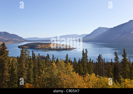 Bove-Insel im Herbst, Indian Summer, Blätter im Herbst Farben, Windy Arm des Tagish Lake, South Klondike Highway, Yukon-Territorium Stockfoto