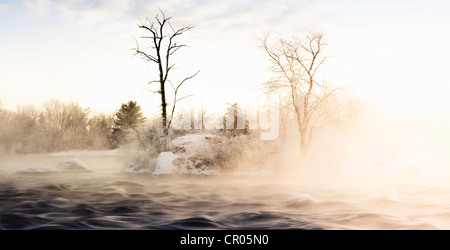 Nebel rollt durch verschneite Landschaft Stockfoto