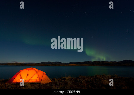 Beleuchtete Expedition Zelt, Northern Lights, Polar Polarlichter Aurora Borealis, grün, Spiegelungen im Wasser, Lake Laberge Stockfoto