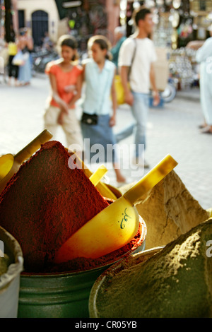 Marokko, hoher Atlas, Marrakesch, Kaiserstadt, Gewürze souk Stockfoto