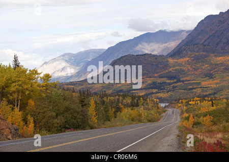 South Klondike Highway, Indian Summer, Blätter in Herbstfarben, Herbst, White Pass, Tagish Lake hinter, Yukon Territorium, Kanada Stockfoto