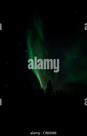 Wirbelnden nördlichen Polarlichter (Aurora Borealis), grün, in der Nähe von Whitehorse, Yukon Territorium, Kanada Stockfoto