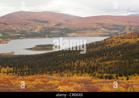 Ansicht, Panorama über Fish Lake und umliegenden sub-alpinen Tundra, Indian Summer, Blätter in Herbstfarben, Herbst, Yukon-Territorium Stockfoto