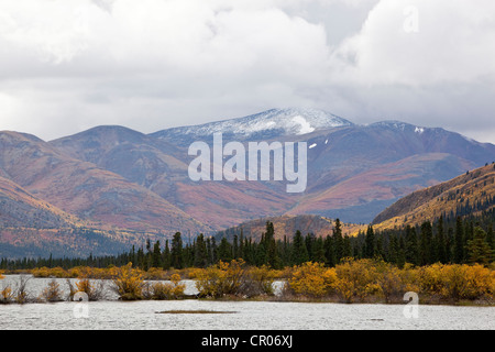Fish Lake und umliegenden sub-alpinen Tundra, Indian Summer, Blätter in Herbstfarben, Herbst, Yukon Territorium, Kanada Stockfoto