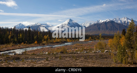Quill Creek, Indian Summer, Blätter in Herbstfarben, Herbst, St. Elias Mountains, Kluane Nationalpark und Reserve hinter Stockfoto