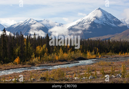 Quill Creek, Indian Summer, Blätter in Herbstfarben, Herbst, St. Elias Mountains, Kluane Nationalpark und Reserve hinter Stockfoto