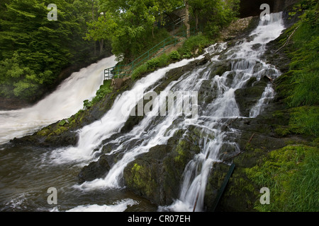 Die Wasserfälle von Coo in der Nähe von Stavelot in den belgischen Ardennen, Belgien Stockfoto