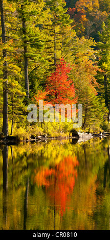 Baker-Teich im Herbst, Westen Bolton, Quebec, Kanada Stockfoto