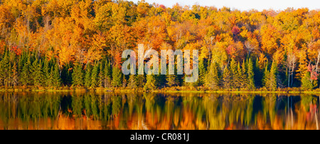 Herbstliche Panorama, späten Nachmittag Sonne, Bouth Bolton, Quebec, Kanada Stockfoto