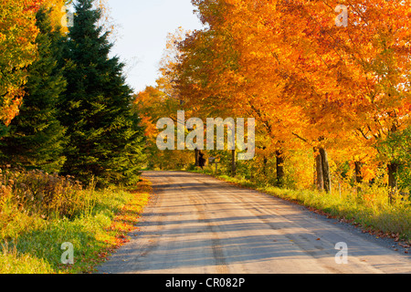 Landstraße im Herbst, Westen Bolton, Quebec, Kanada Stockfoto