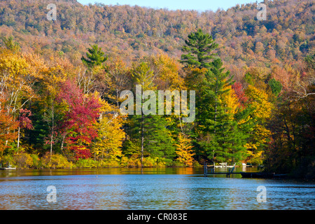 Sallys Teich im Herbst, Westen Bolton, Quebec, Kanada Stockfoto