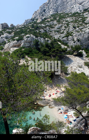 Frankreich, Bouches du Rhone, Marseille, Sugiton Calanque (Calanques Nationalpark seit 2012/04/18) Stockfoto