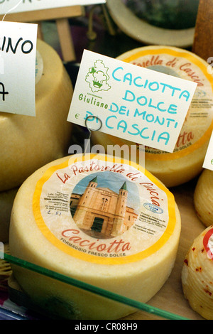 Italien, Umbrien, Marsciano, Altstadt, lokale Produkte fair, gemischte Käsesorten Stockfoto
