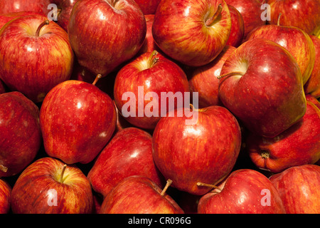 Red Delicious Äpfel Stockfoto