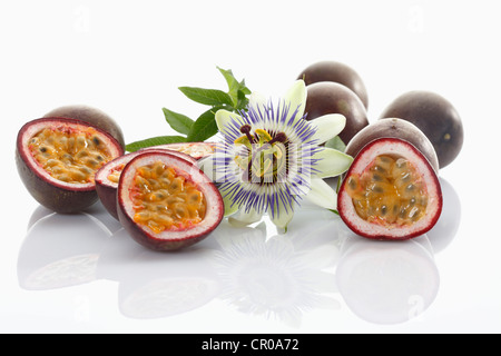 Passionsfrucht, Maracujá (Passiflora Edulis), mit Blume Stockfoto