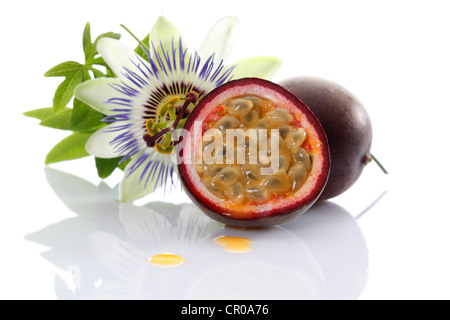 Passionsfrucht, Maracujá (Passiflora Edulis), mit Blume Stockfoto