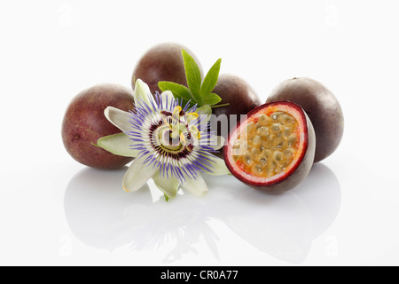 Passionsfrucht, Maracujá (Passiflora Edulis), mit Blume Stockfoto