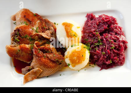 Halb eine gebratene Ente mit Kartoffelknödel und Rotkraut Stockfoto